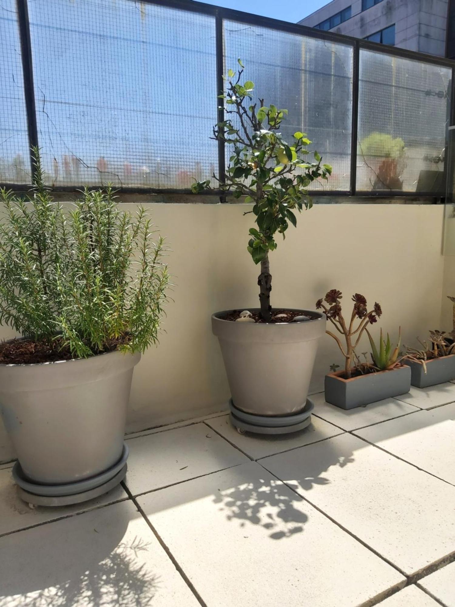 Porto Terrace Apartment Bagian luar foto