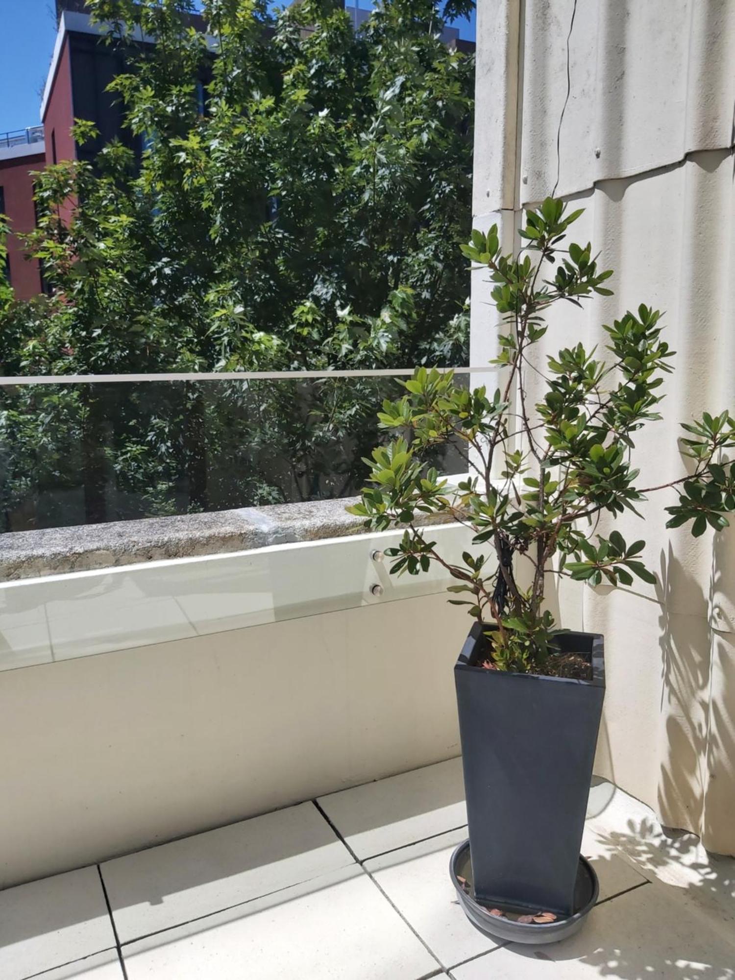 Porto Terrace Apartment Bagian luar foto